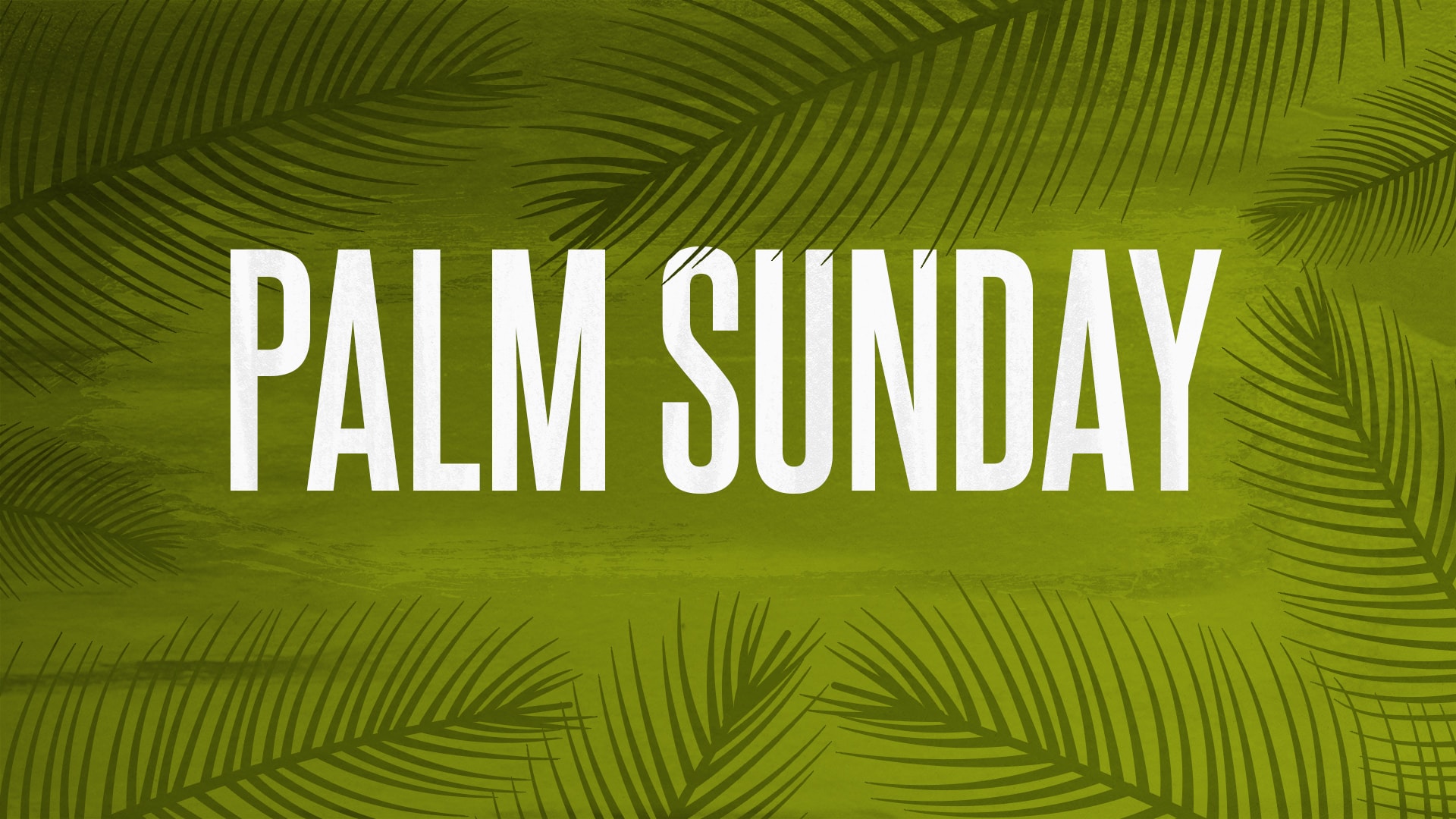 CMG-Palm_Sunday-Still